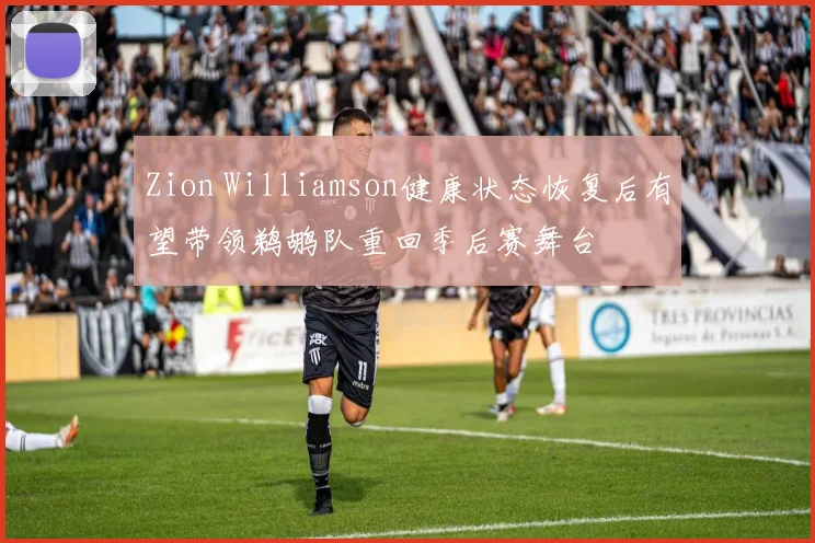 Zion Williamson健康状态恢复后有望带领鹈鹕队重回季后赛舞台