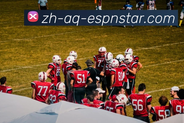 新英体育平台欧冠赛事直播内容及播出安排